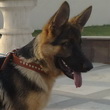 Ayka