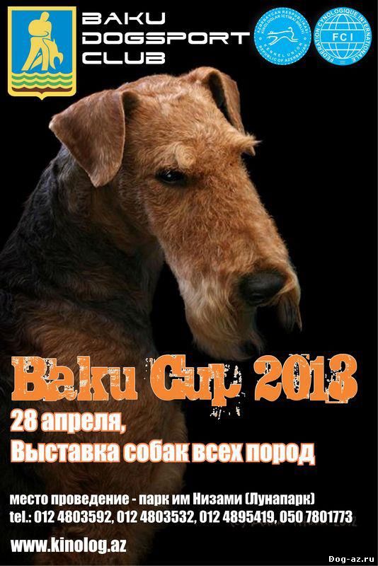 Baku Cup 2013